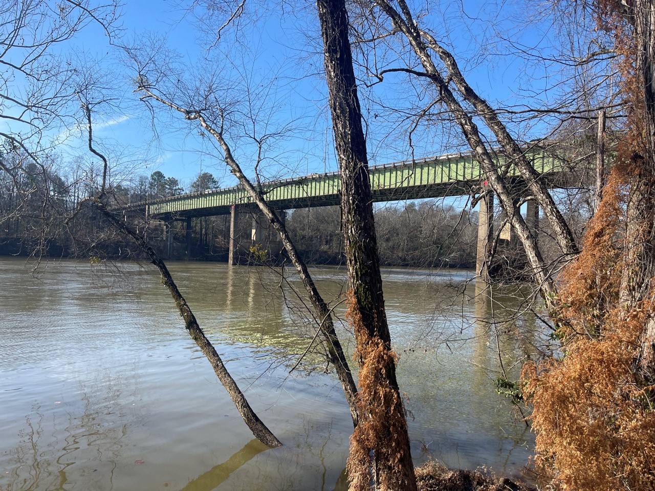 Image of the bridge from far away